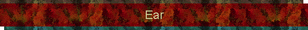 Ear