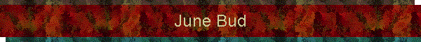 June Bud