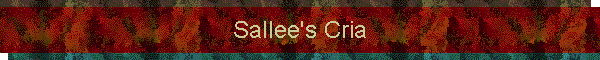 Sallee's Cria