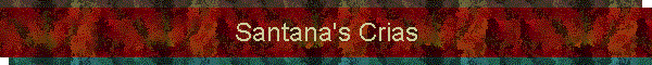 Santana's Crias