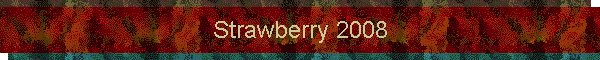 Strawberry 2008