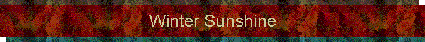 Winter Sunshine